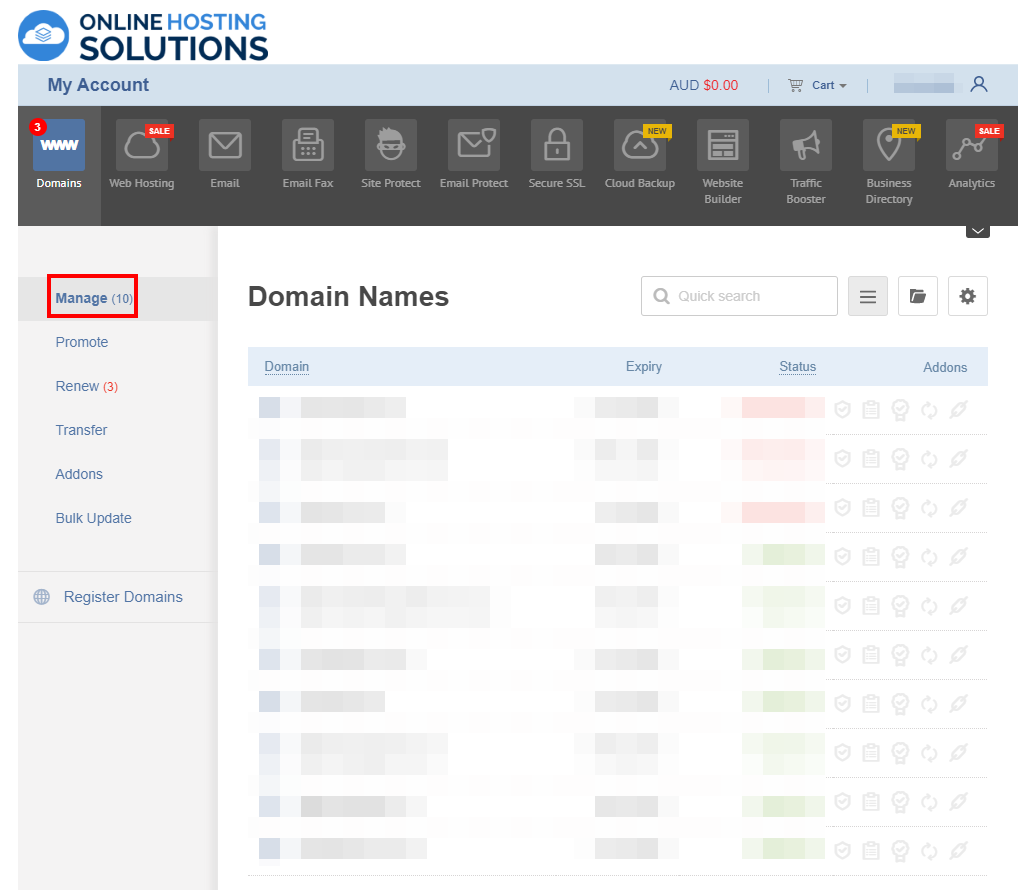 Online Hosting Solutions Domain Renewal Manage