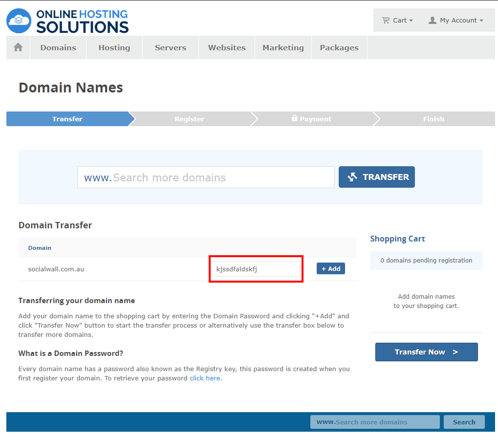 Online Hosting Solutions Domain Transfer Domain Password Online Hosting Solutions Domain Transfer Domain Password