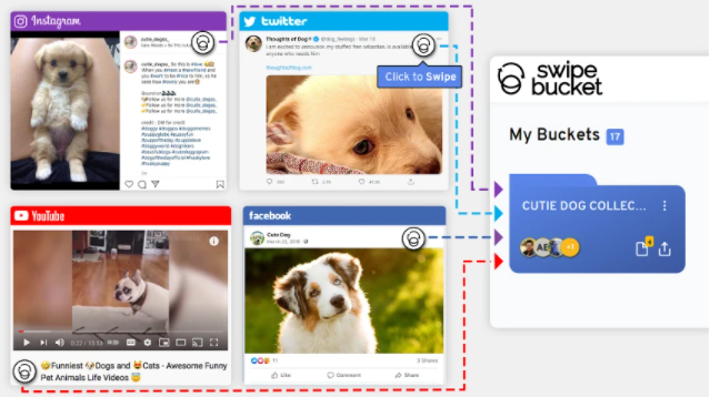 Buy Software Apps Swipebucket Lifetime Deal content 1