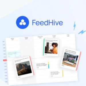 Feedhive Lifetime Deal for $59