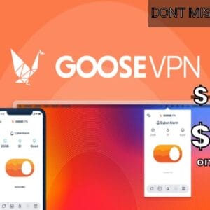 GOOSE VPN Lifetime Deal for $29